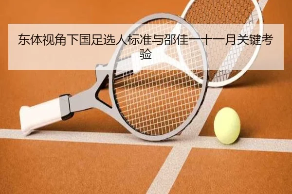 东体视角下国足选人标准与邵佳一十一月关键考验 | xingkong.com